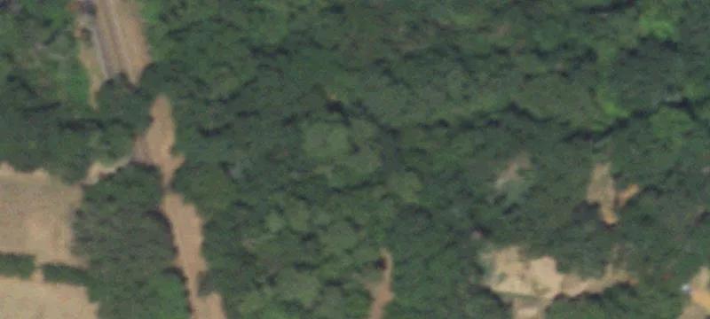 10938 Fm 19