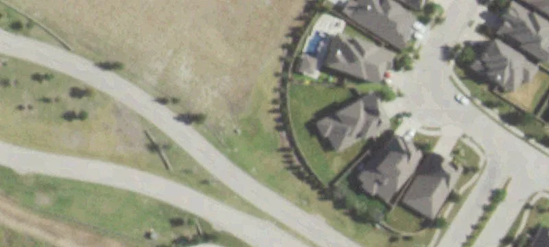 Partridge Dr