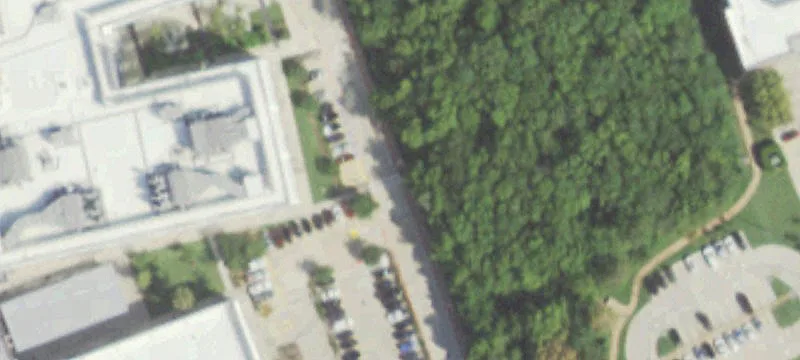 Abner Jackson Pkwy