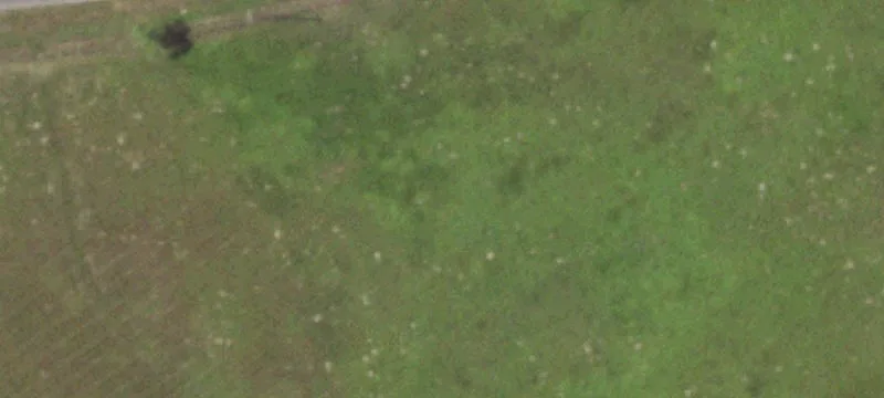 Seadrift, TX 77983