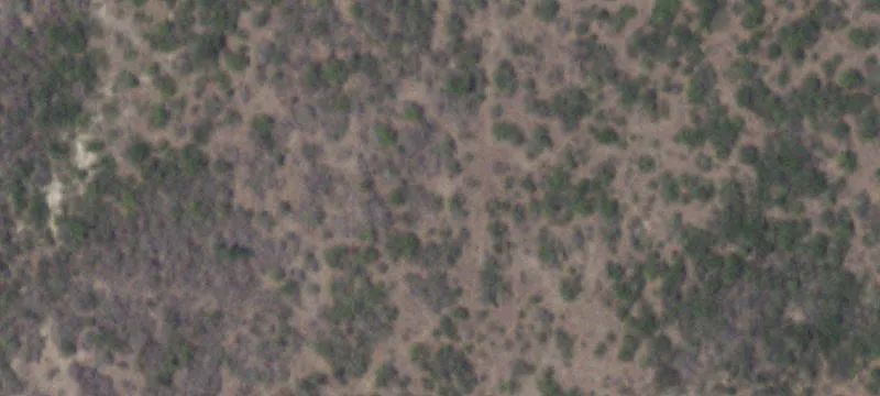 Fm 1099