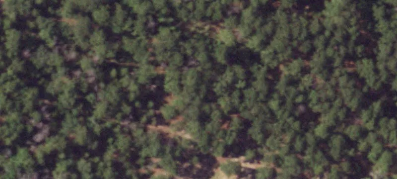 Elgin, TX 78621