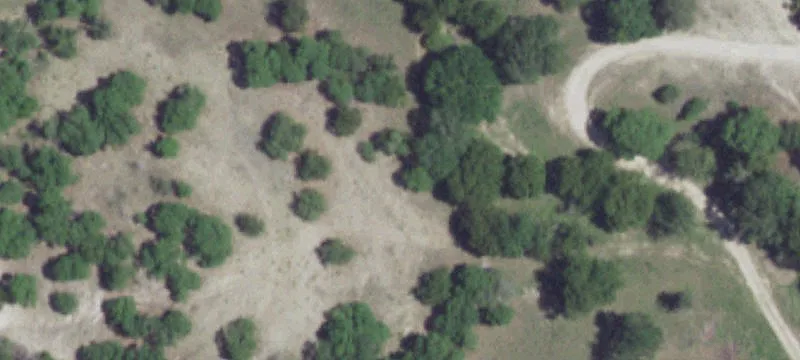 12701 Trails End Rd