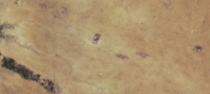 Carrizo Springs, TX 78834