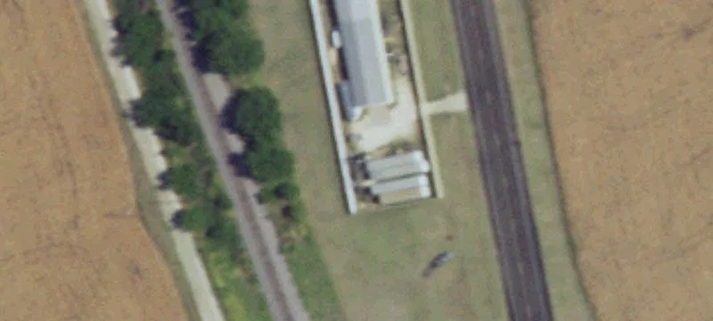 State Hwy 81