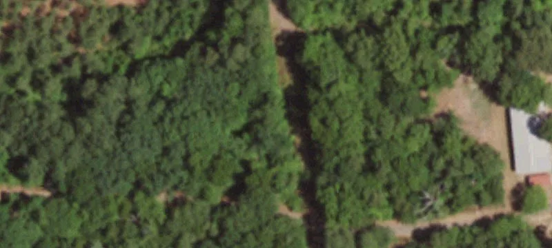 825 County Rd 3990