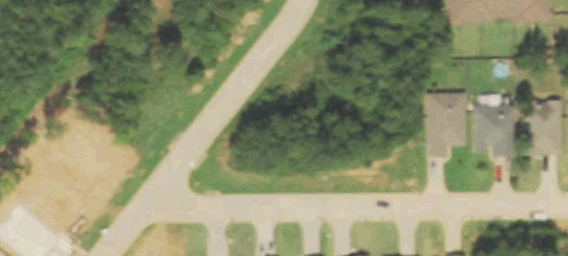 1601 Birch Ln