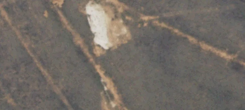 Shallowater, TX 79363