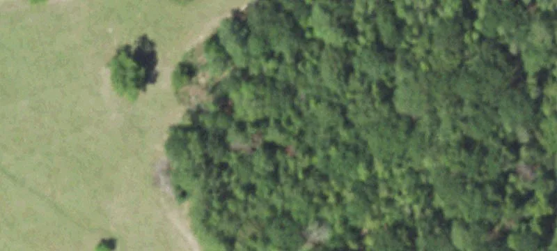 651 Bailey Rd