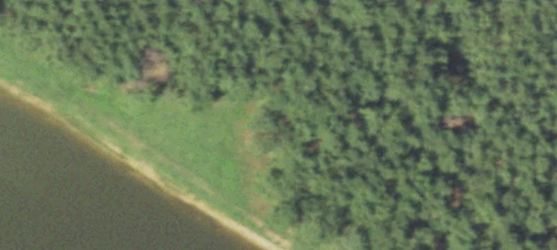 3272 Us Hwy 96th N