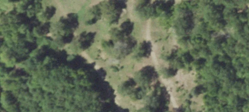 13667 Us Hwy 190th W