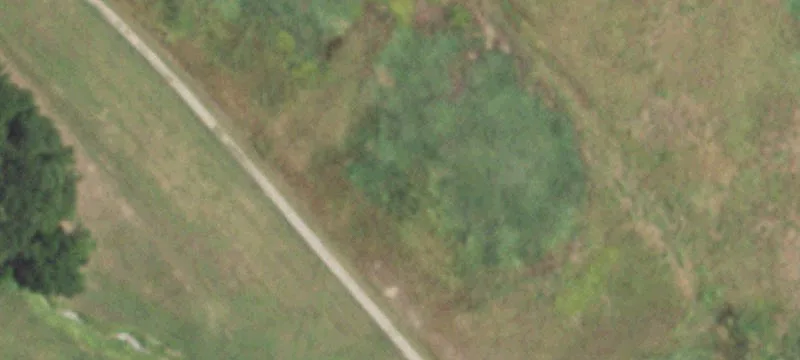 Loop 286
