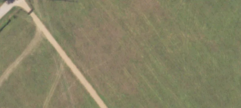 Villa Maria Rd