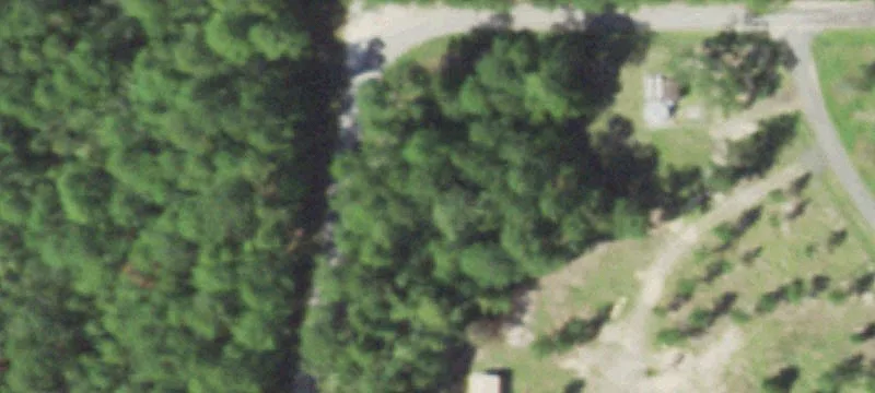 Quail Dr