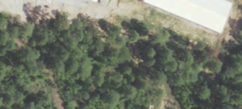 1406 Southwood Dr