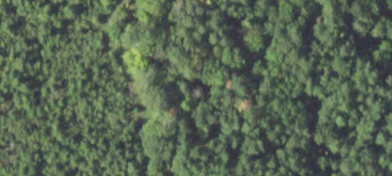 2694 Fm 3172