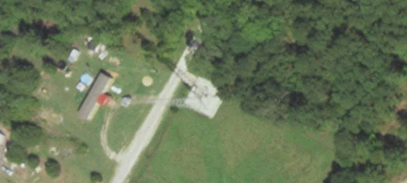 Palmetto Dr