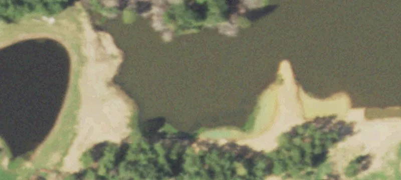 526 County Rd 4356