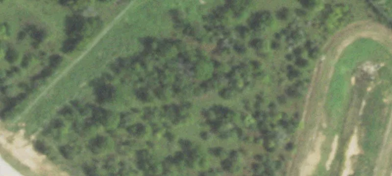 2013 Persimmon St