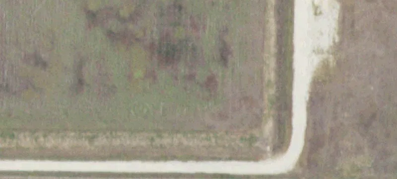 9775 County Rd 2004