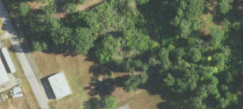 Wilkins Rd
