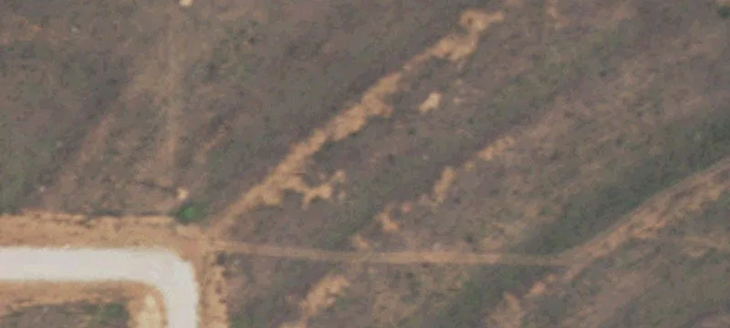 Ropesville, TX 79358