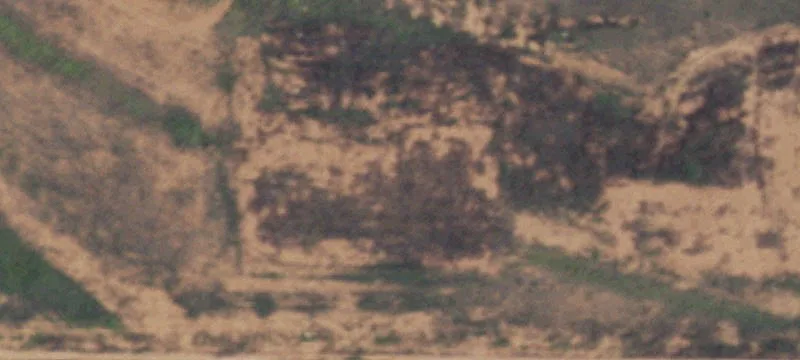 Levelland, TX 79336