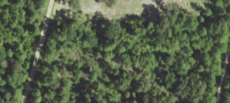 Colmesneil, TX 75938