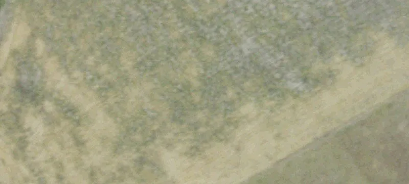 5768 Fm 67