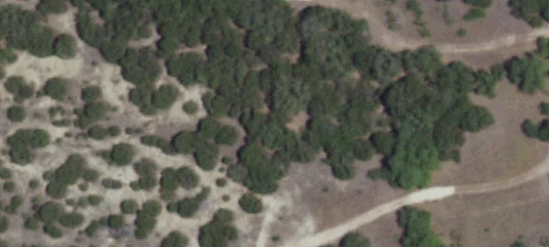 1817 Lutheran Church Rd