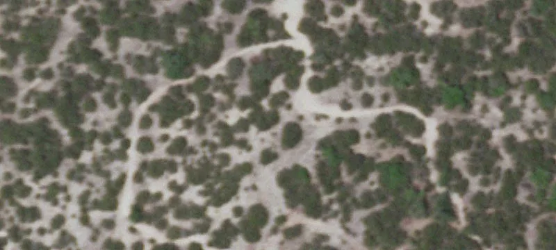 6908 Fm 1431