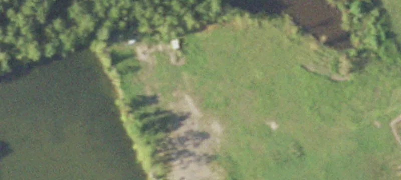 11983 Us Hwy 84th E