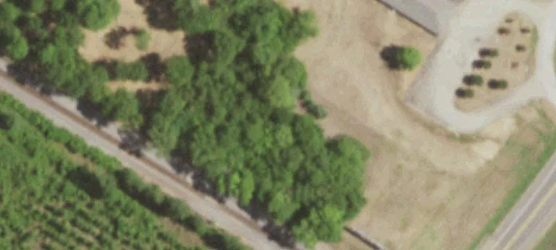 Avinger, TX 75630