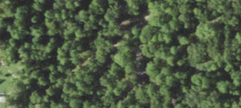 4462 State Hwy 147