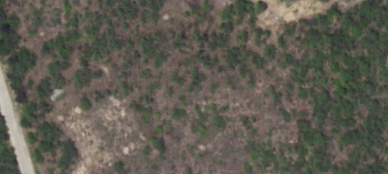 Christine, TX 78012