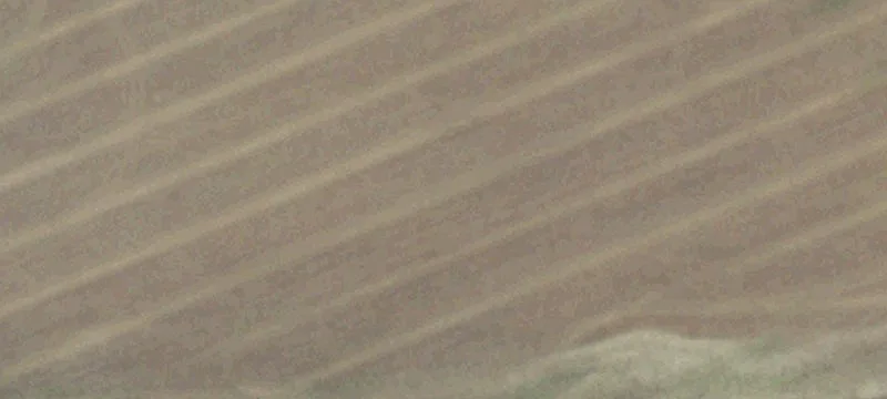 31589 Hwy 84