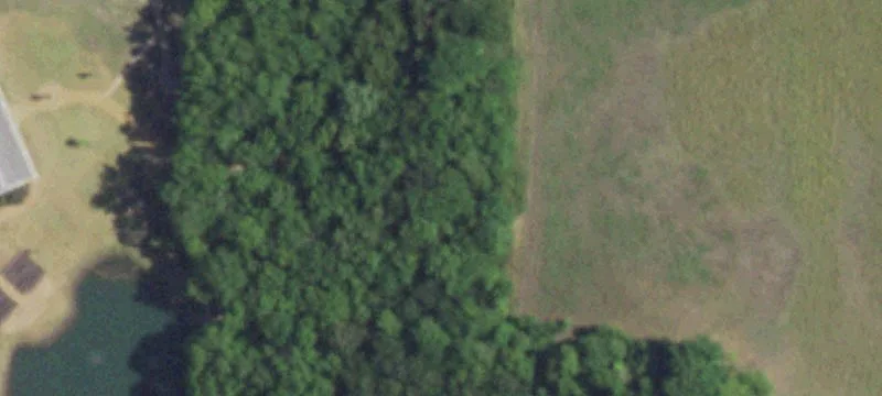 788 County Rd 4945