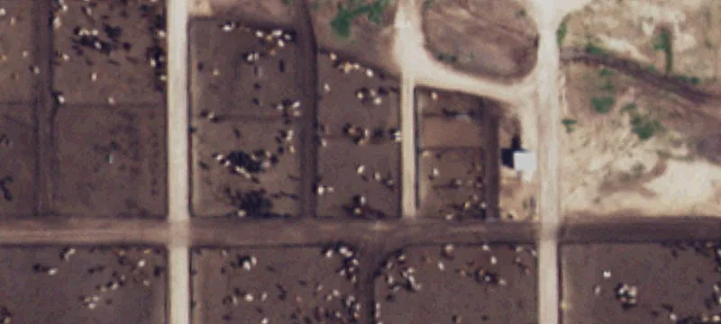 Friona, TX 79035