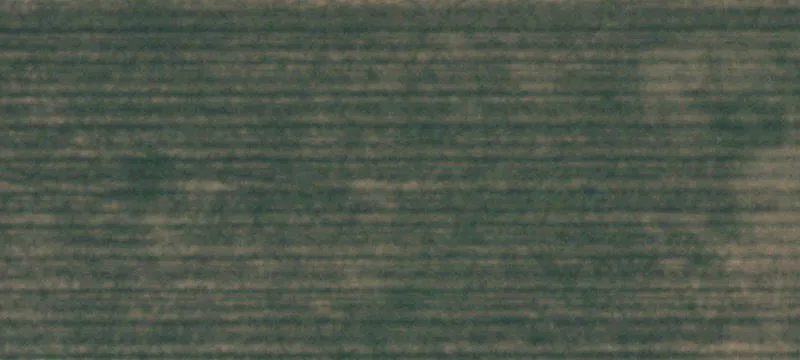 Levelland, TX 79336
