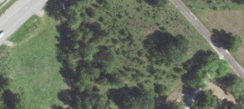 1380 State Hwy 19
