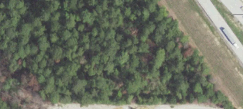 State Hwy 19