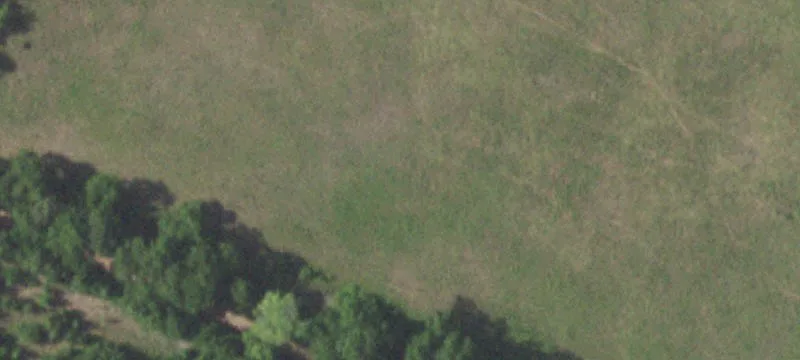 9768 Heron Ln