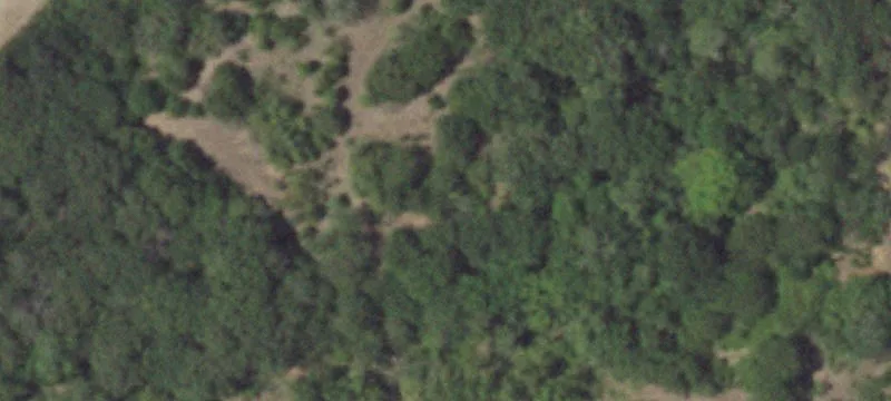 2205 Bass Pro Ct