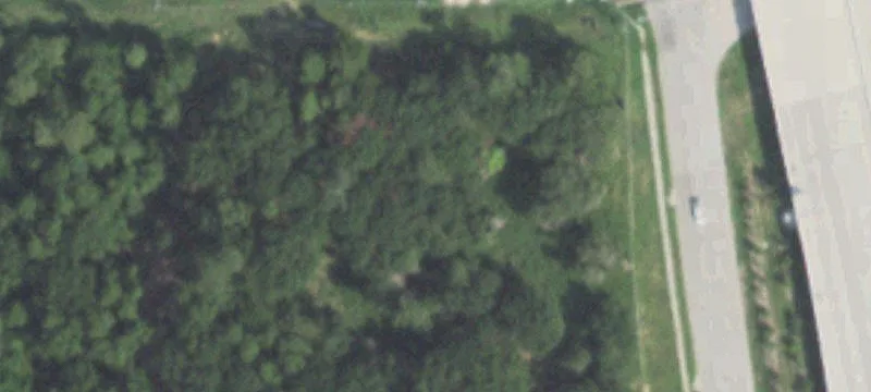 29733 State Hwy 249