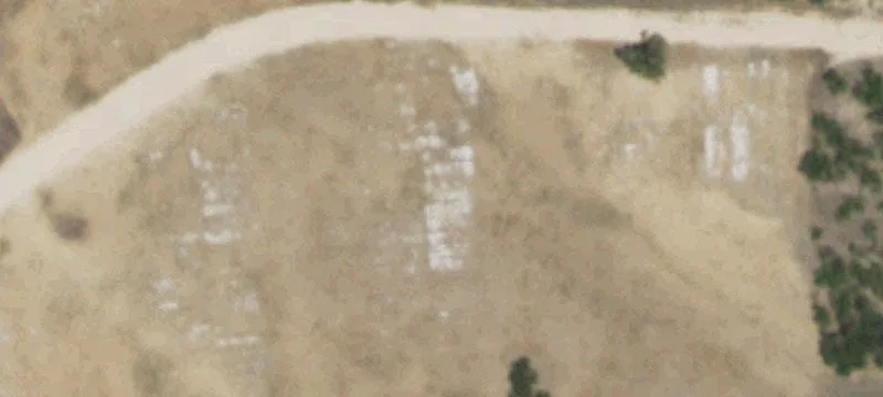 Miles, TX 76861