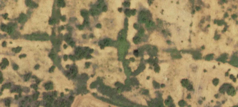 Turkey, TX 79261