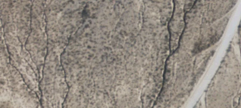 Valentine, TX 79854