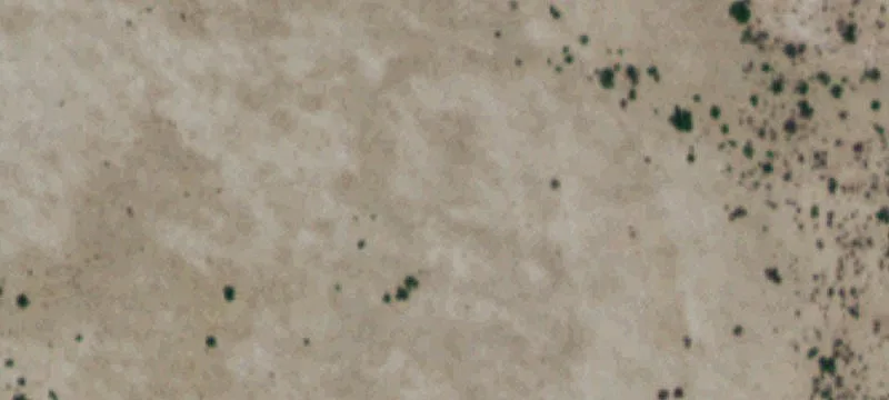 Valentine, TX 79854