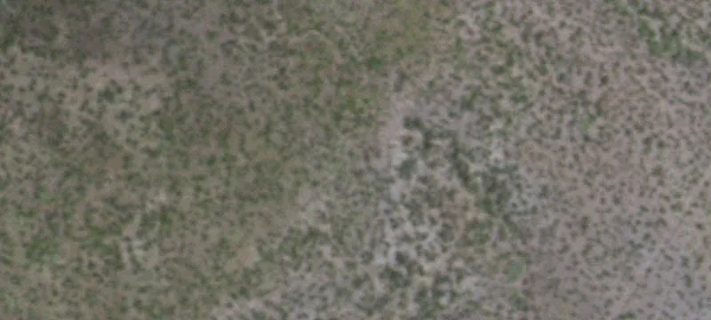Marfa, TX 79843