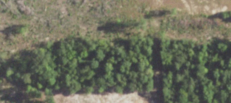 1189 Lavender Rd